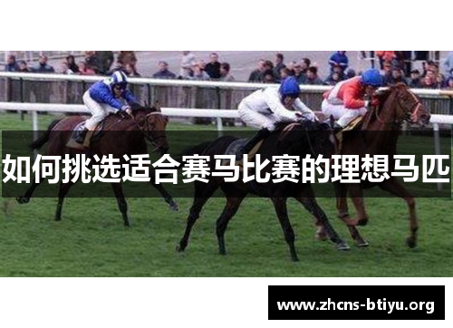 如何挑选适合赛马比赛的理想马匹