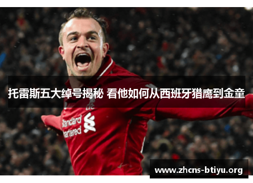 托雷斯五大绰号揭秘 看他如何从西班牙猎鹰到金童 托雷斯五大绰号揭秘 看他如何从西班牙猎鹰到金童