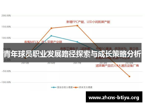 青年球员职业发展路径探索与成长策略分析
